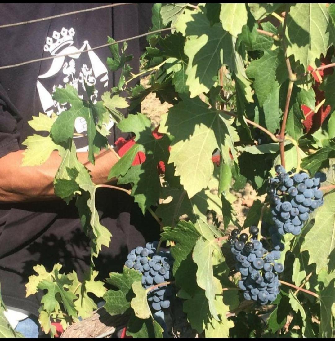 Agriturismo Feudo Tudia Landro Εξωτερικό φωτογραφία