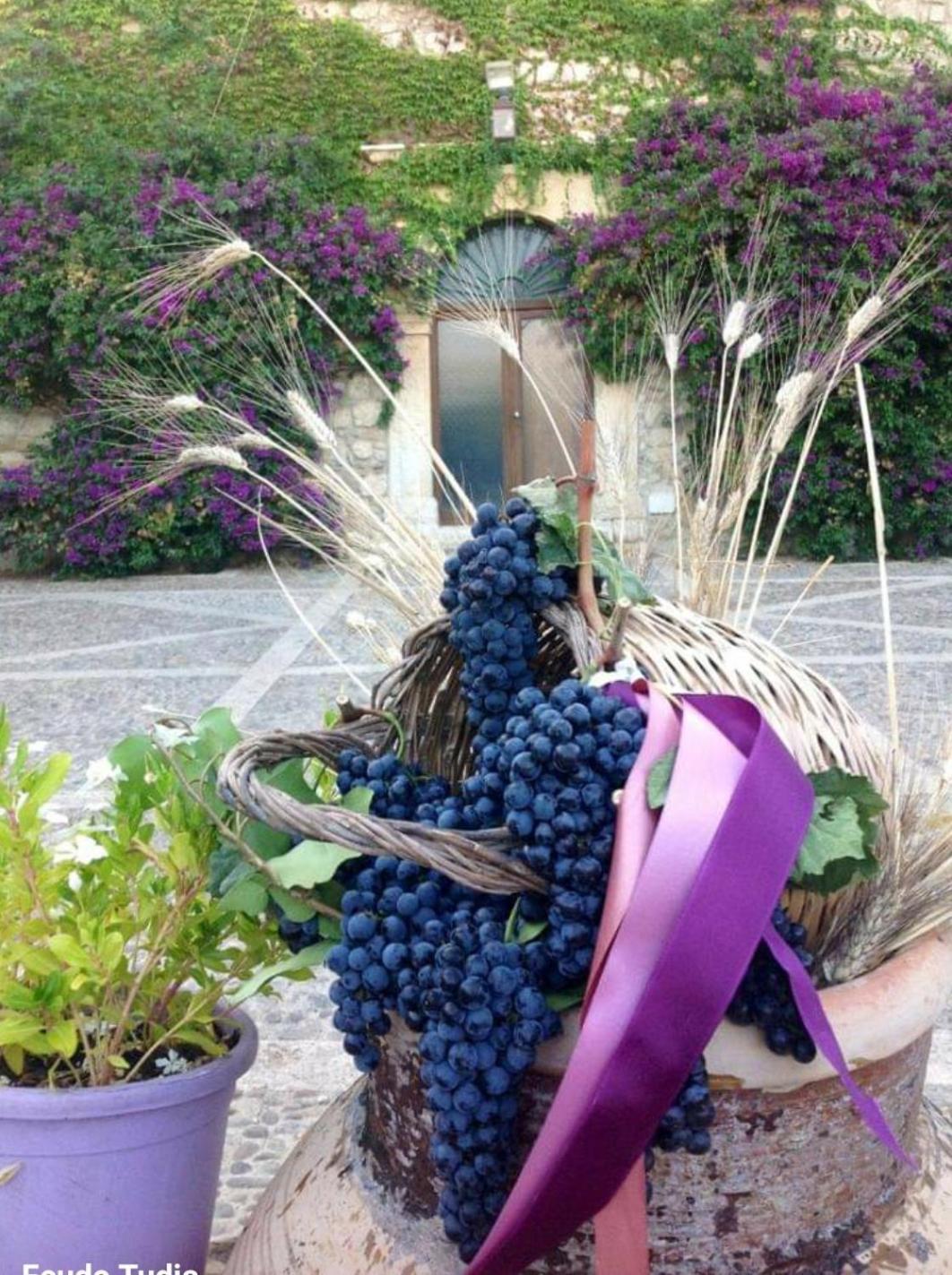 Agriturismo Feudo Tudia Landro Εξωτερικό φωτογραφία